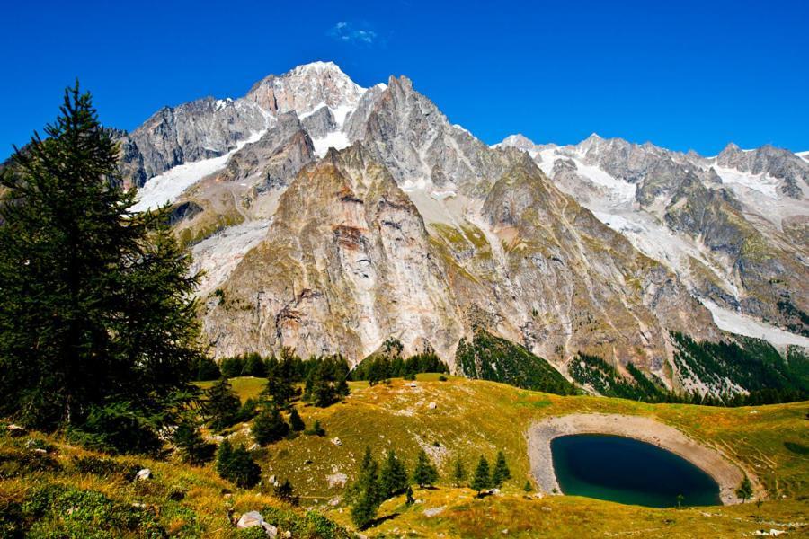 Appartamento La Maison Des Guides - Trilocale A 500 Mt Dalle Piste Di Dolonne